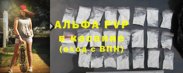 стафф Алзамай