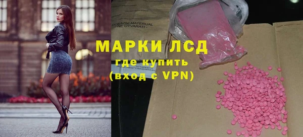 стафф Алзамай