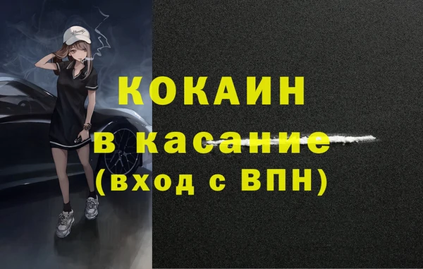 стафф Алзамай