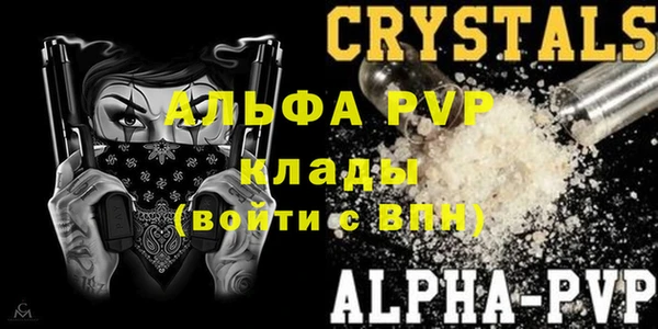 стафф Алзамай