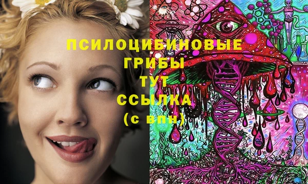 стаф Алексеевка