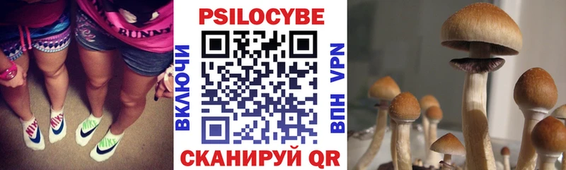 Псилоцибиновые грибы MAGIC MUSHROOMS Большой Камень