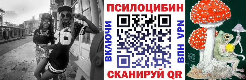 где продают   Большой Камень  Галлюциногенные грибы прущие грибы 